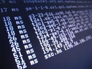 traceroute is done by nmap during automated scanning