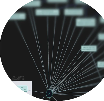 Close-Up of domain map showing A records