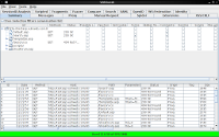 webscarab and ratproxy working together