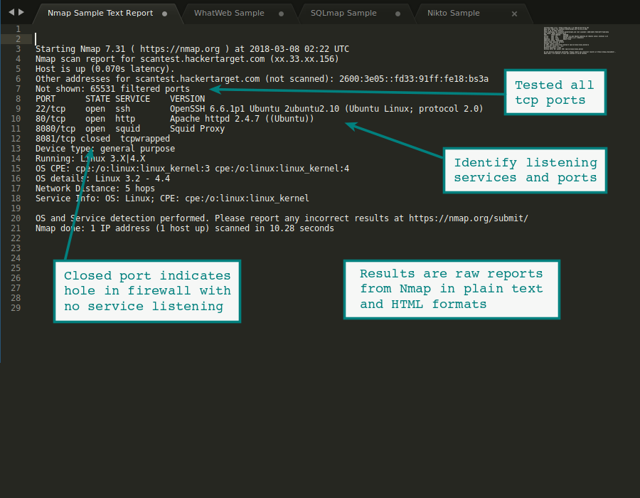 Online Port Scanner Powered by Nmap