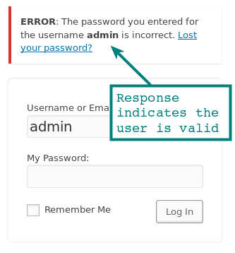 Burp Suite Wordpress